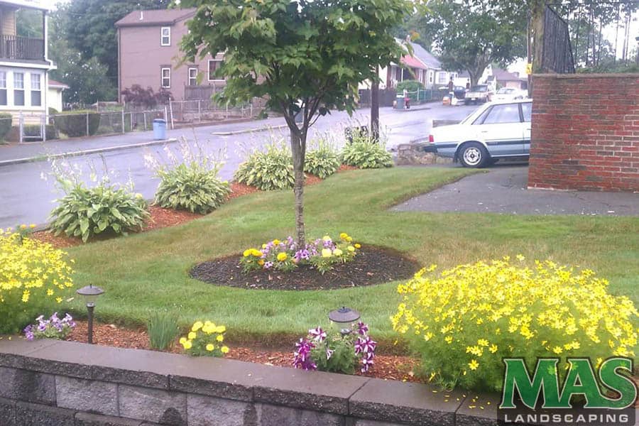 Landscaping Companies Chelsea MA