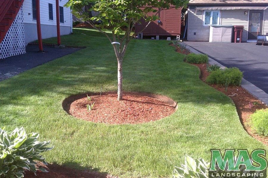 Landscaping Contractors Near Me