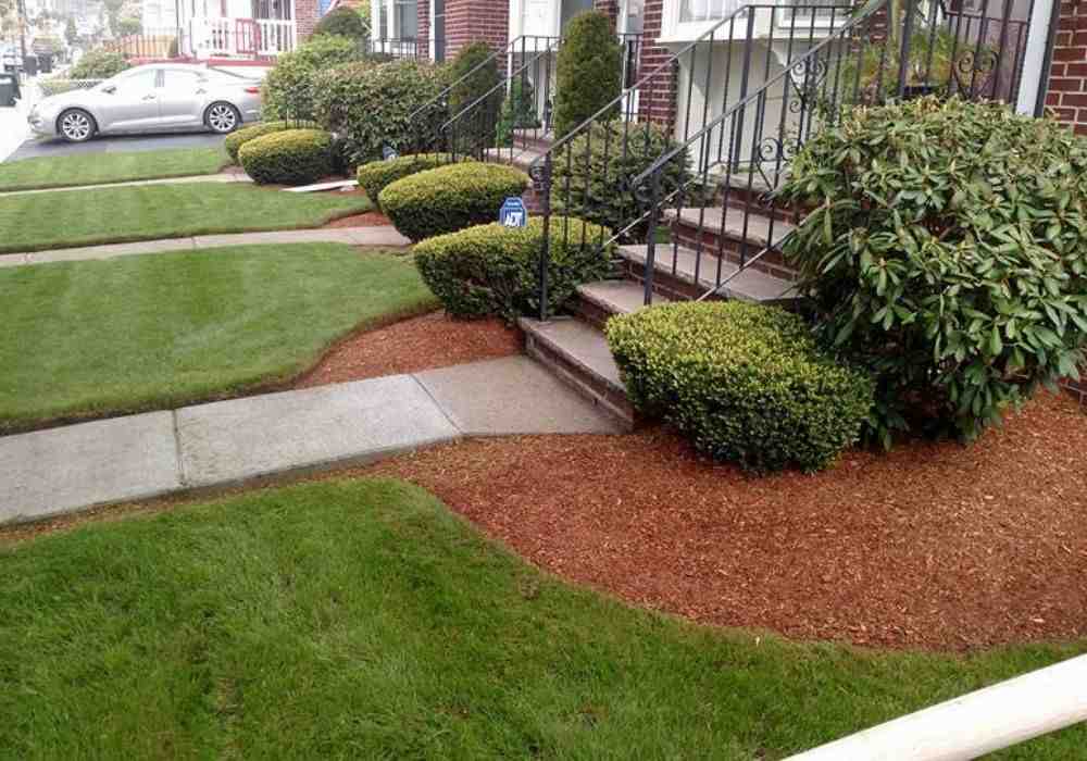 Your Go-To Guide for Yard Clean Up in Malden, MA