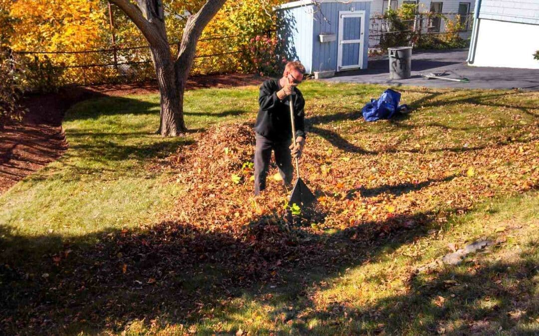 Understanding the Costs of Yard Clean Up Services
