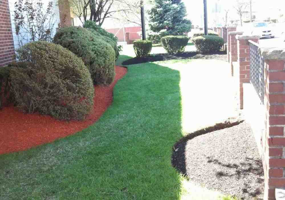 Breaking Down the Costs: What You Need to Know About Mulching