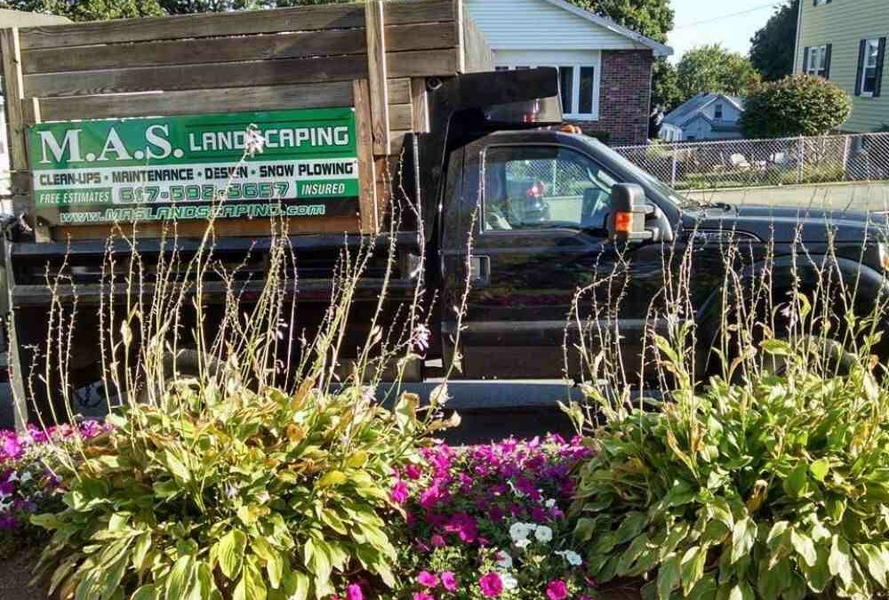 The Best Local Landscapers on a Budget