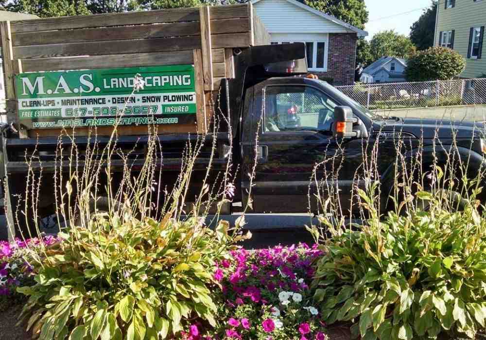 The Best Local Landscapers on a Budget