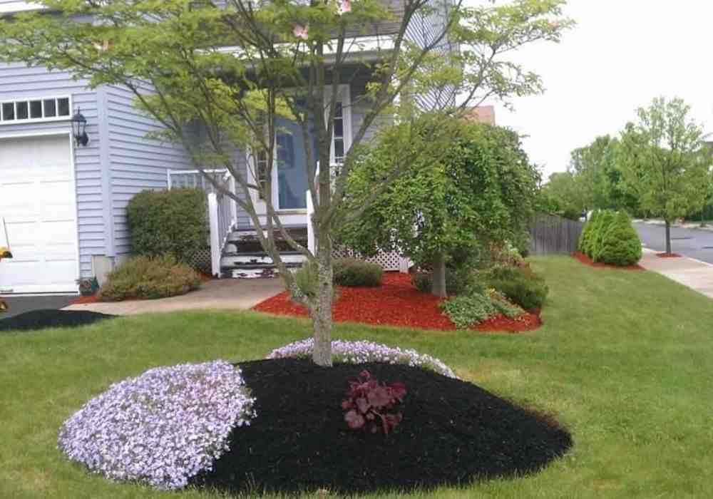Landscaping Companies Revere MA