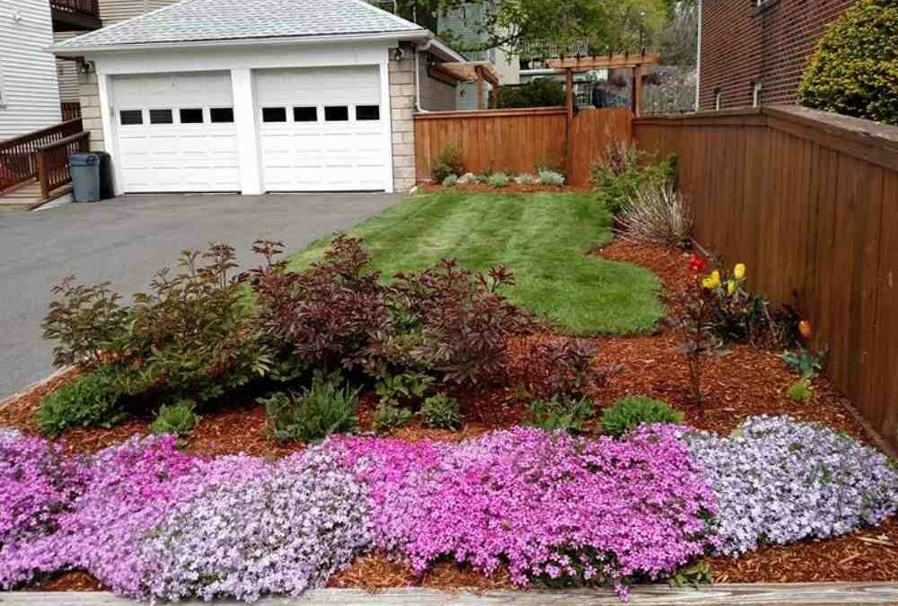 The Best Spring Yard Cleanup Services for Beginners