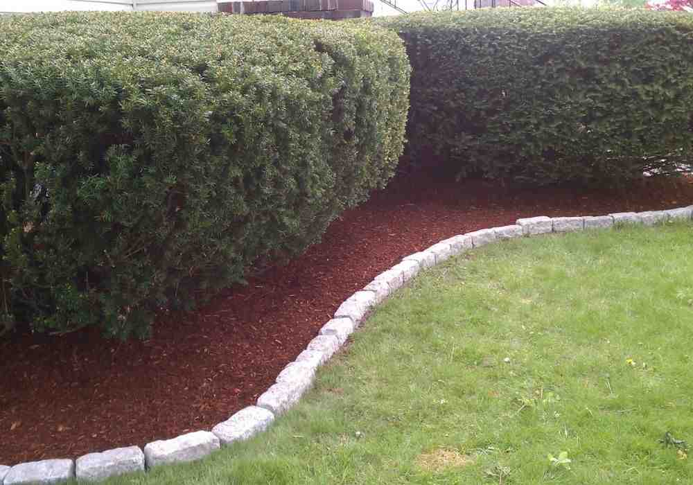 Mulch Pricing 101: How Much Should You Budget for a Yard?