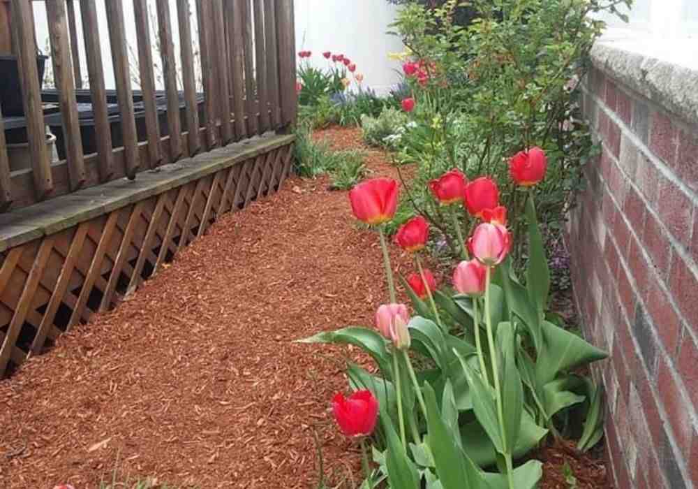 Mastering Mulch: How to Properly Install for Optimal Growth