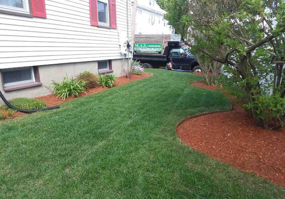 Mastering Your Landscape: A Comprehensive Guide to Mulch Delivery and Installation