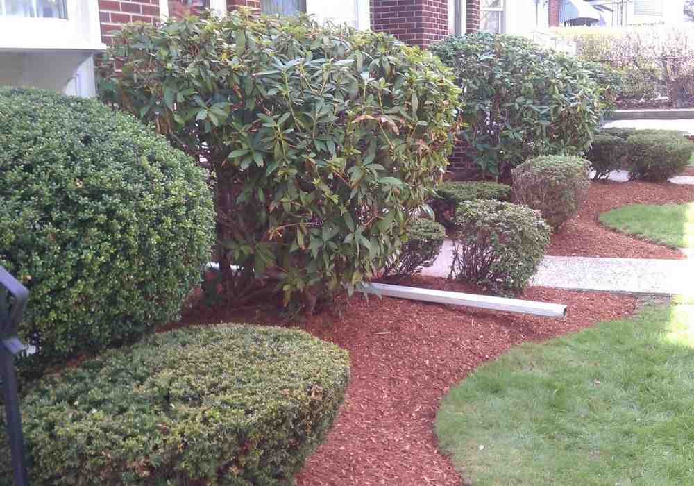 Simplify Your Landscaping: Tips for Mulch Delivery and Installation