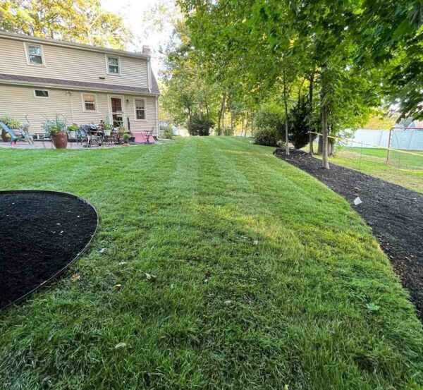 Landscape Maintenance Everett MA