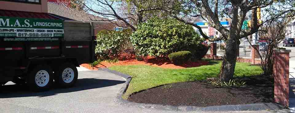 The Ins and Outs of Bark Mulch Delivery in Malden, MA