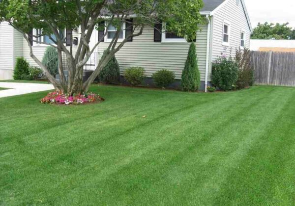 Landscaping Services Saugus MA