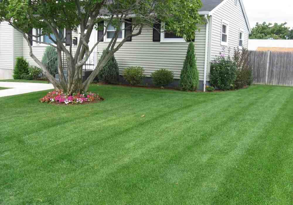 The Ultimate Roundup of the Best Lawn Care Services in Your Area
