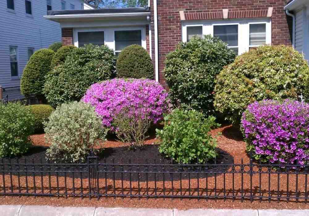 Your Local Guide to Buying Mulch: Quality and Prices
