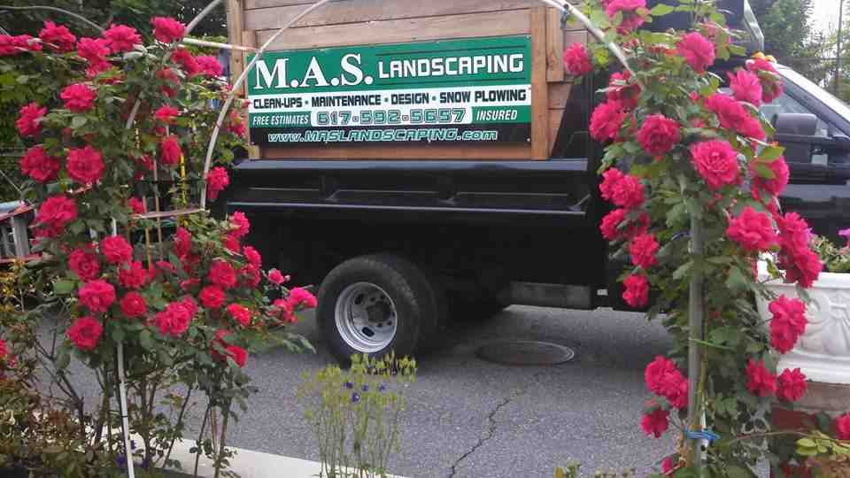 Commercial Landscapers: How They Keep Your Business Grounds Immaculate