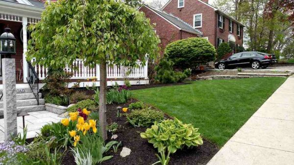 Landscape Design Chelsea MA