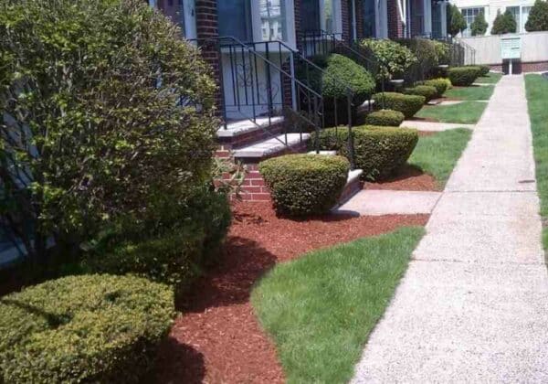 Landscaping Near Medford MA