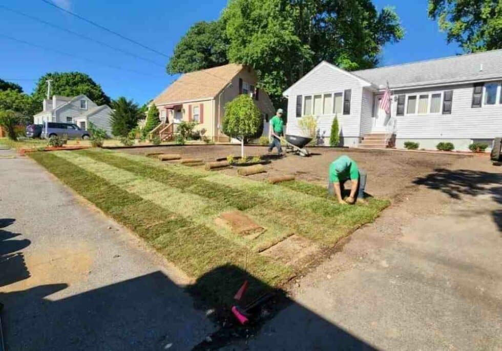 Yard Development Works Top 5 Yard Work Services 2024: Best Local Experts!