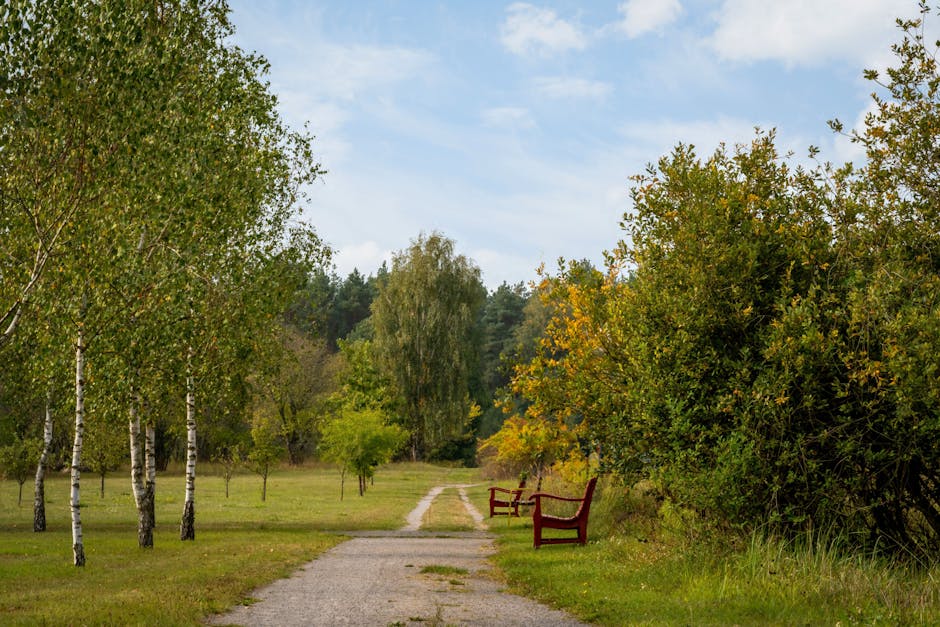 Walkway Contractors: Tips for Hiring the Best Walkway Contractors: Tips for Hiring the Best