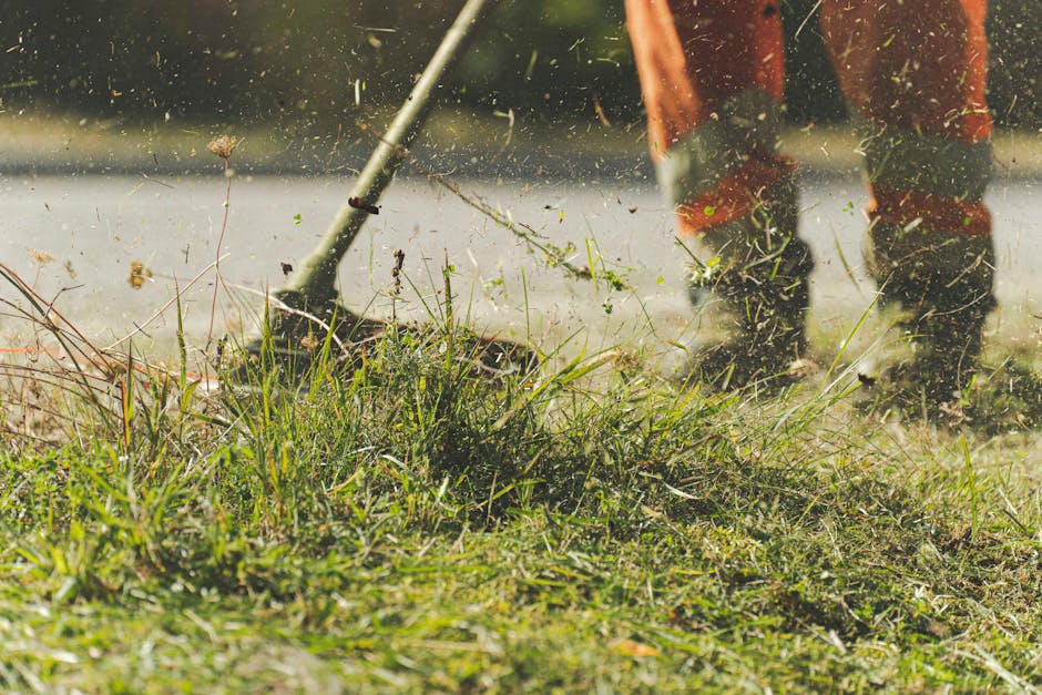From Mess to Marvelous: Your Guide to Yard Cleaning Services