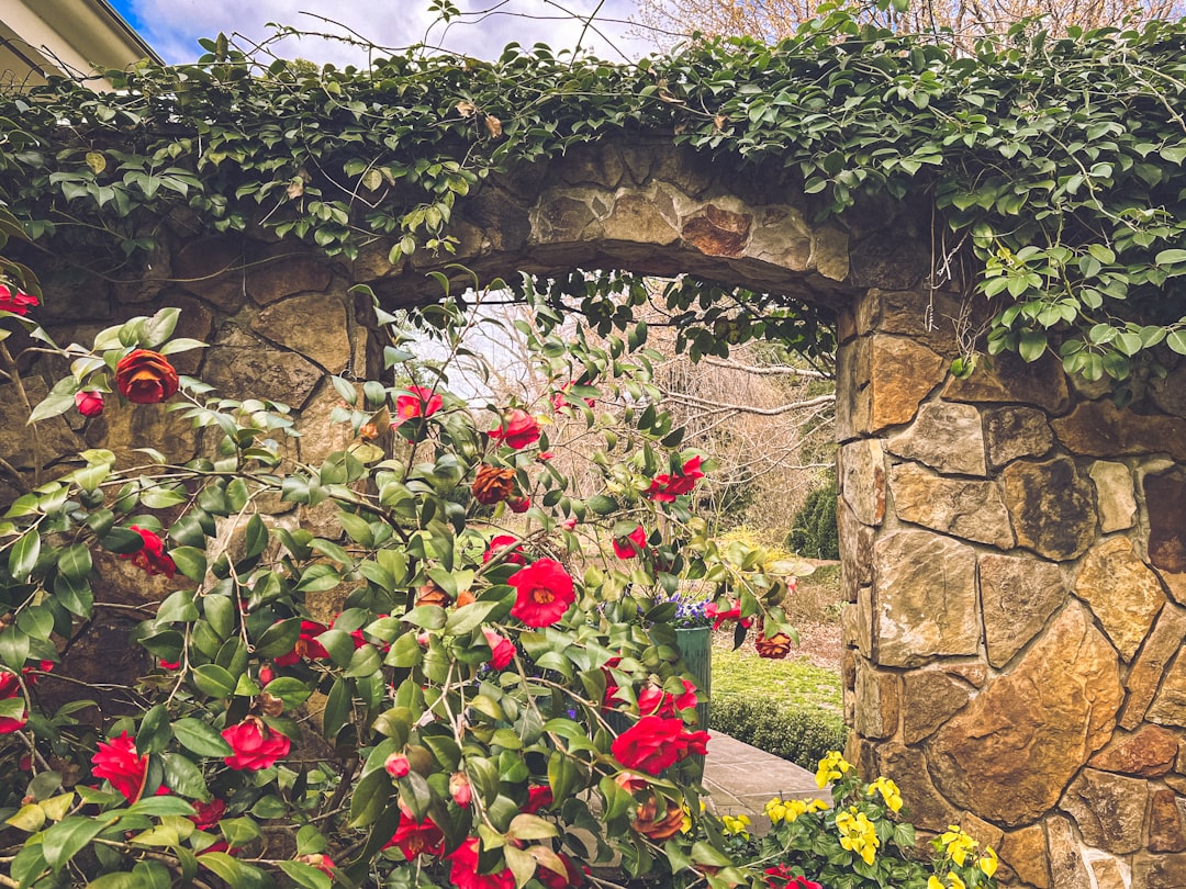 Hiring the Best Garden Wall Contractors: Tips and Recommendations Hiring the Best Garden Wall Contractors: Tips and Recommendations