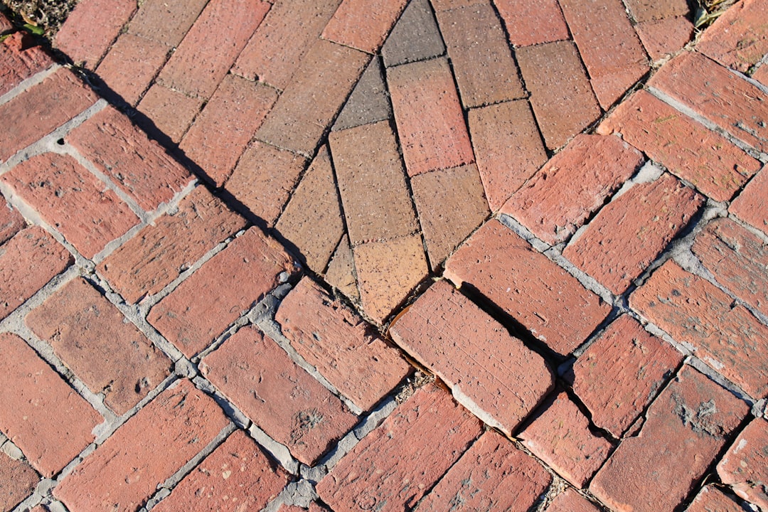 Your Guide to Paver Companies