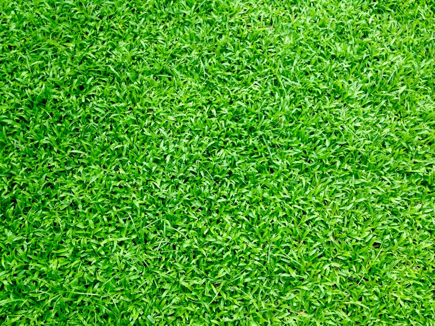 Artificial Grass Installation Costs: Per Square Metre Breakdown