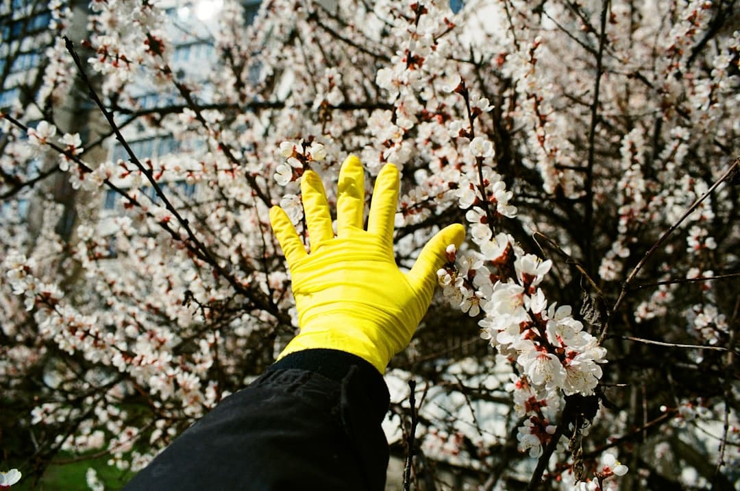 Don’t Skip Spring Cleanup! Your Yard Will Thank You Later