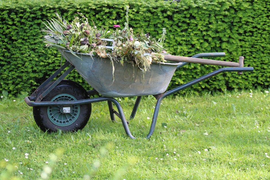 Ready, Set, Grow! Your Guide to Spring Cleanup of Your Yard