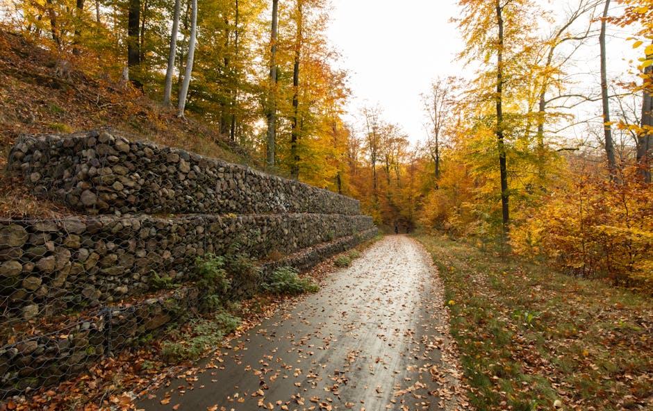 Wallscaping Wonders: Transform Your Retaining Walls