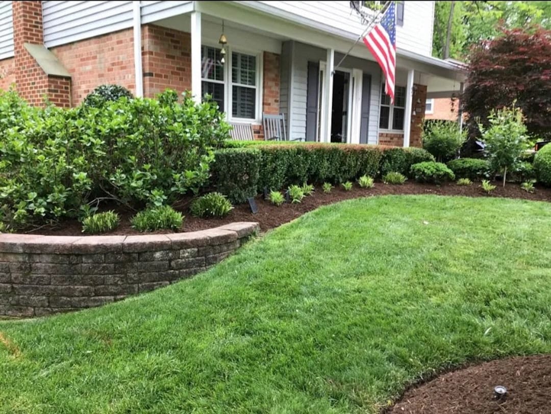 Green Grass at Your Doorstep: Find Local Lawn Care Experts