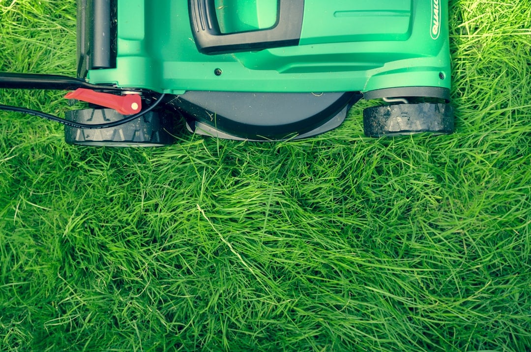 Mow Money, Mow Problems? Easy Lawn Maintenance Tips Mow Money, Mow Problems? Easy Lawn Maintenance Tips