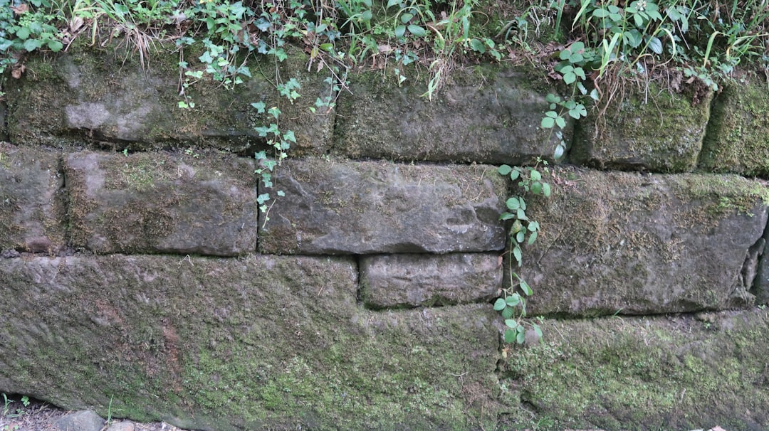 Rock Your Yard: Building a Natural Retaining Wall