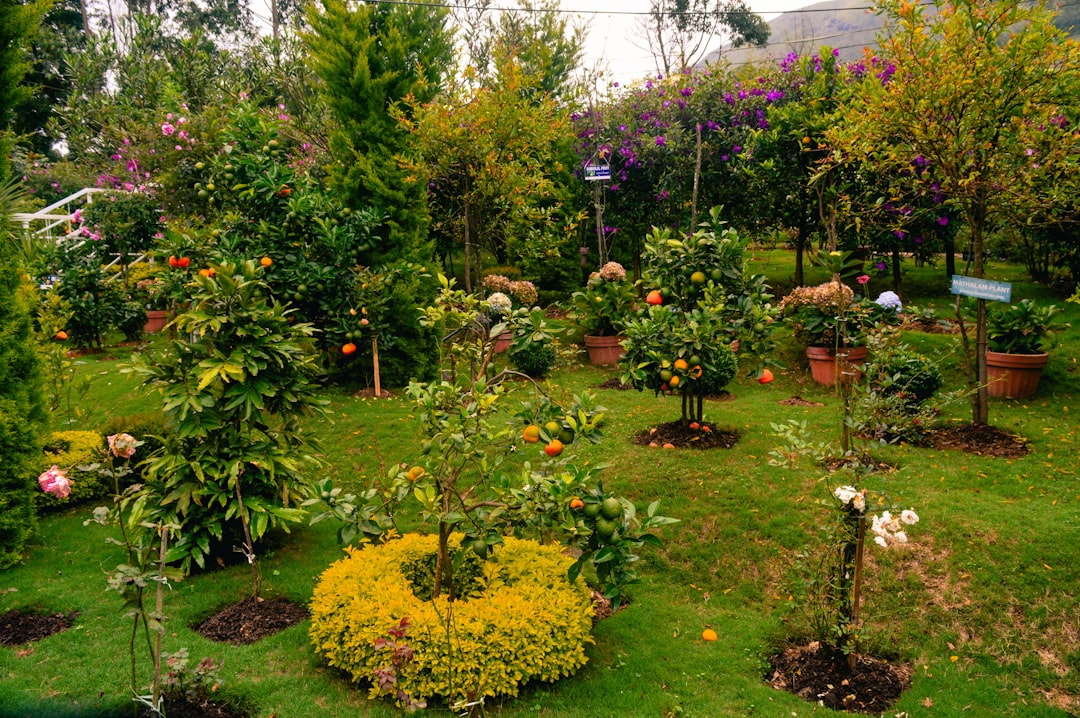 Garden Variety Excellence – Landscaping and Gardening Services Nearby