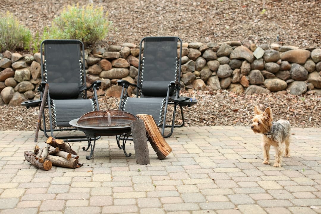 Warm Up Your Wallet: A Buyer’s Guide to Backyard Fire Pits