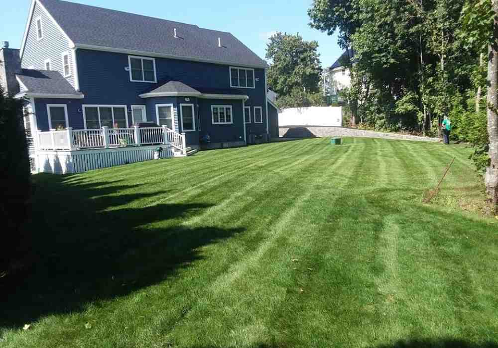 From Seed to Sod: Breaking Down the Cost of a Brand New Lawn