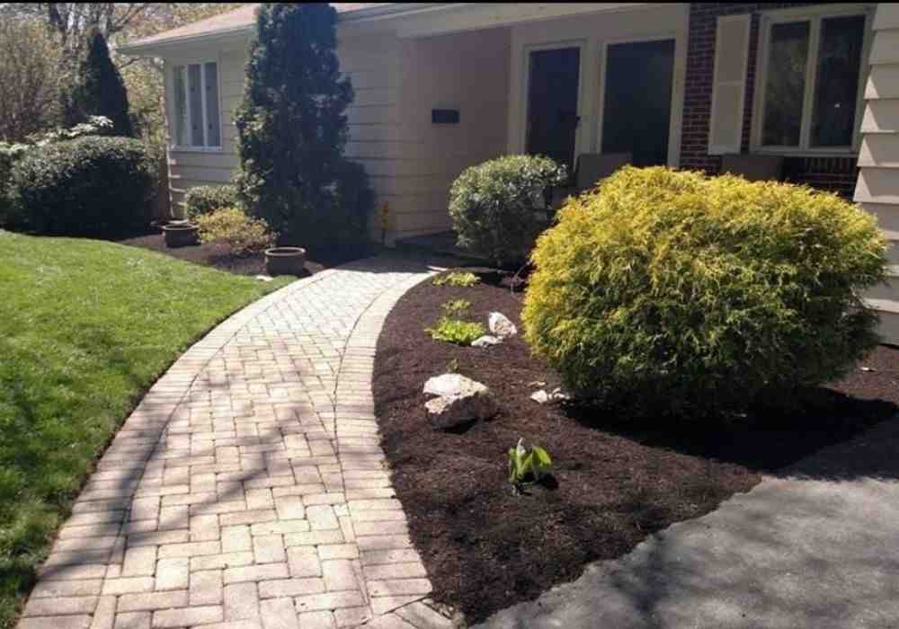 Walk This Way: Expert Tips for Choosing Your Stone Walkway Contractor