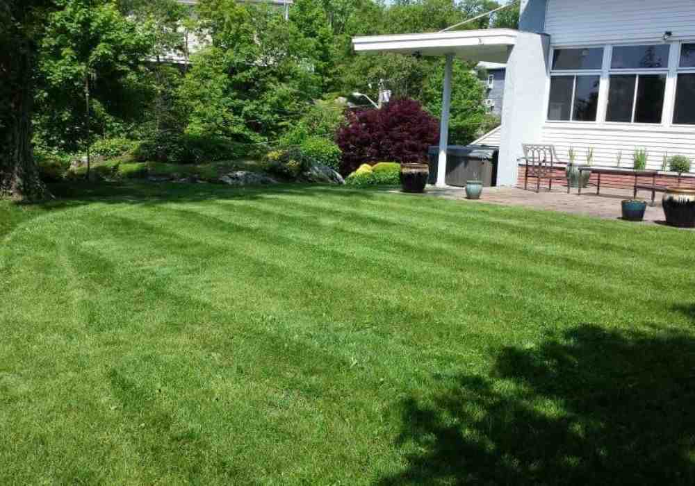 Beyond the DIY: Why a Professional Lawn Installation Company is Your Best Bet