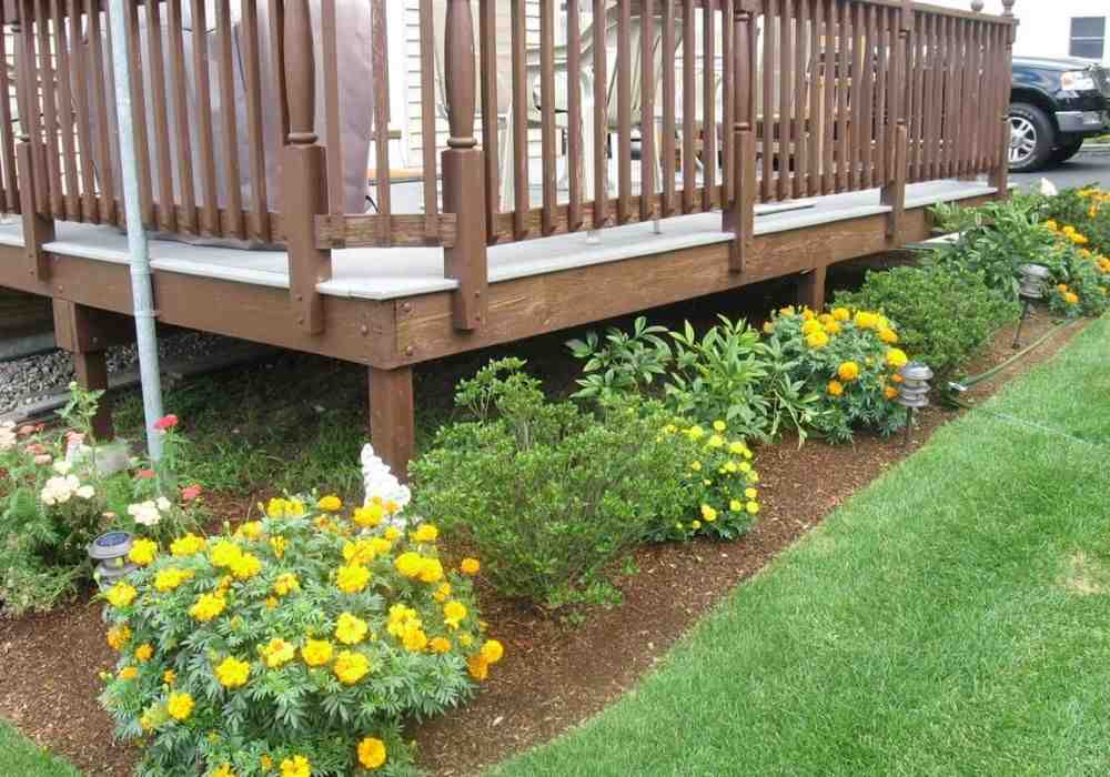Your Dream Deck & Patio: A Local Design Guide