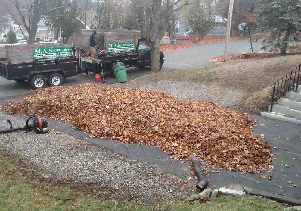 How to Handle Leaf and Brush Removal Like a Pro How to Handle Leaf and Brush Removal Like a Pro
