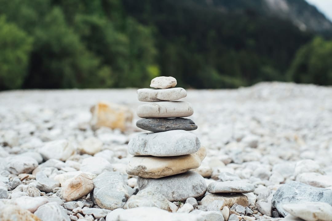 Don’t Get Stoned: Choosing Between Pea Gravel and River Rock